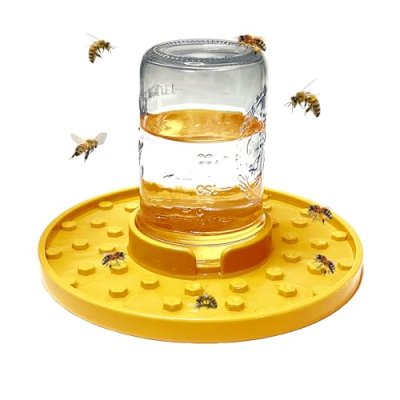 Bee Watering Station
