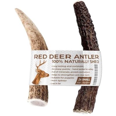 Deer Antler Chews for Puppies