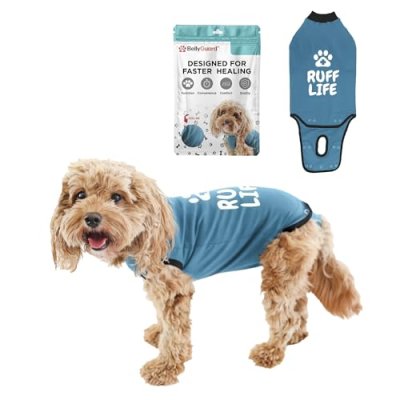 BellyGuard Dog Recovery Onesie