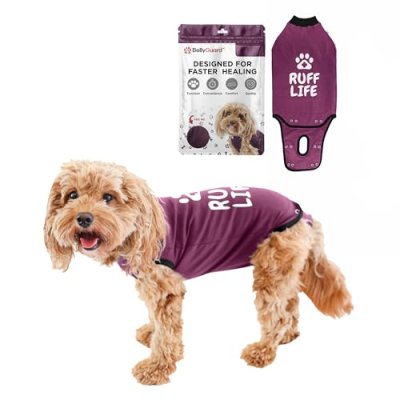 BellyGuard Dog Recovery Suit