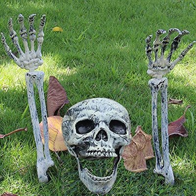 Zemolo Halloween Skeleton Set