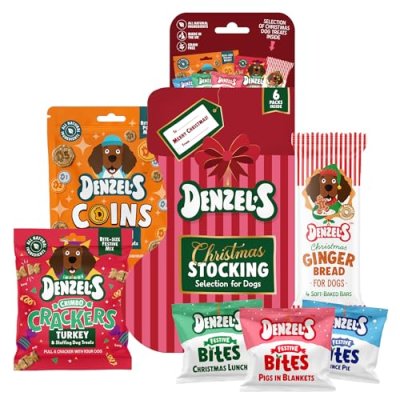 Denzel’s Christmas Dog Treats