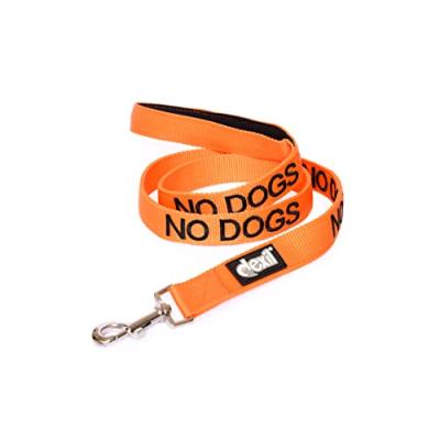 Neoprene Padded Dog Lead PREVENTS Accidents
