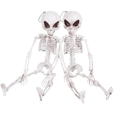 Derayee Skeleton Decorations