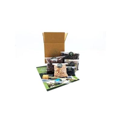 Terrarium Kit