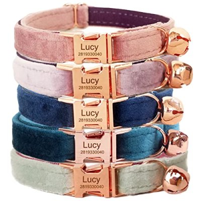 Personalised Cat Collar