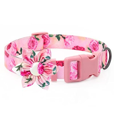 Personalised Pink Dog Collar