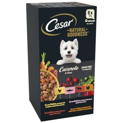 Cesar Wet Dog Food