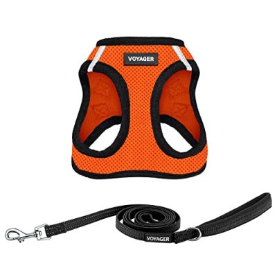 Best Pet Supplies Dog Harness & Leash