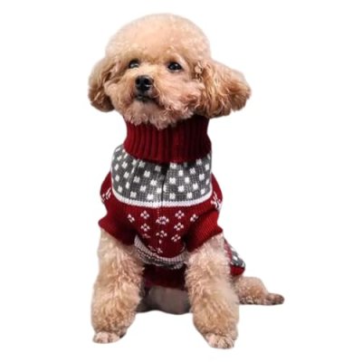 Festive Pet Jumper