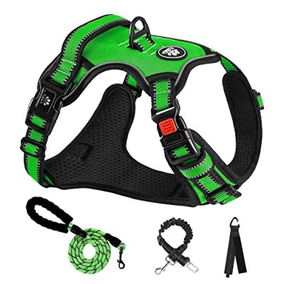 Nestroad Dog Harness and Lead