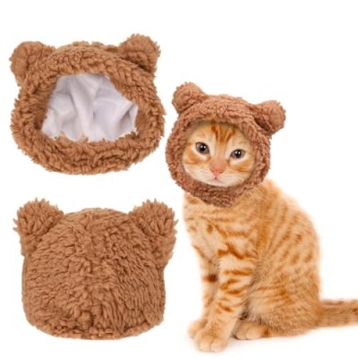 WLLHYF Pet Bear Hat
