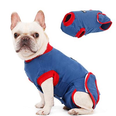 Pet Recovery Suit