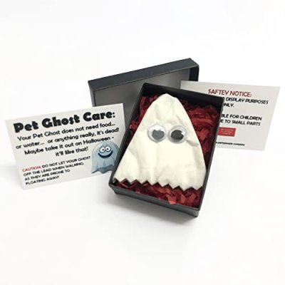 Pet Ghost Novelty Gift Idea