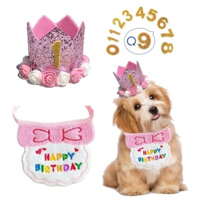 Pet Birthday Hat and Bandana