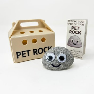Pet Rock Gift