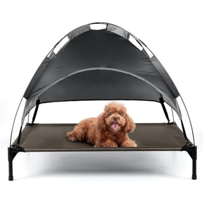 Petlicity Elevated Dog Bed