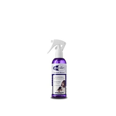 Leucillin Antiseptic Spray