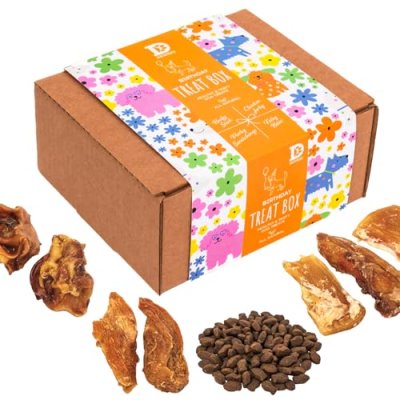 Dewkes Dog Treat Box