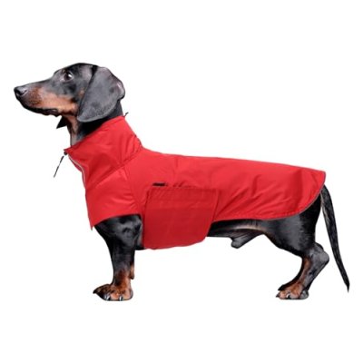 Geyecete Dachshund Raincoat