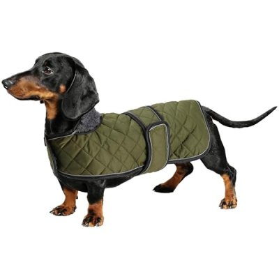 Geyecete Dachshund Coat