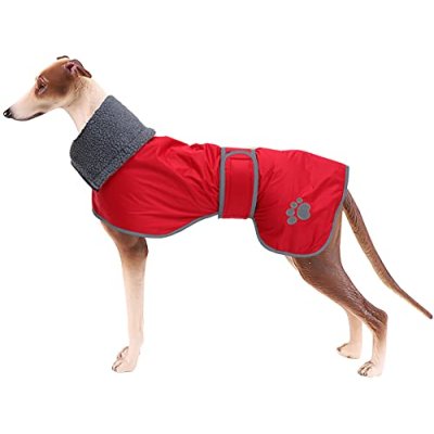 Geyecete Dog Winter Raincoat