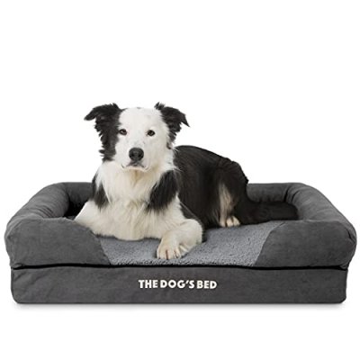 The Dog’s Bed