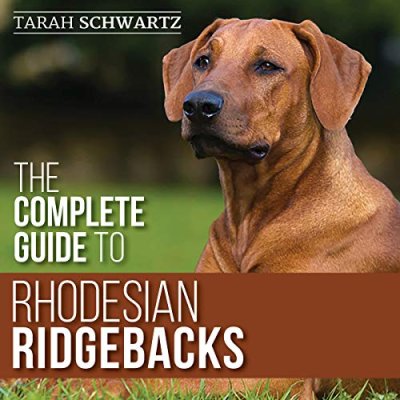 The Complete Guide to Rhodesian Ridgebacks: Breed…
