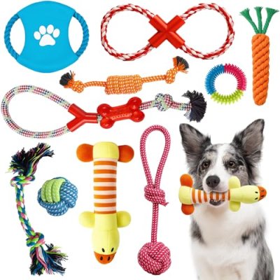 ZENO Chew Dog Toy Set