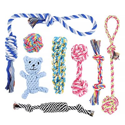 PLUTUS PET Chew Toy Set
