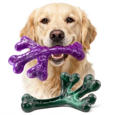 ChienBox Dog Chew Toys