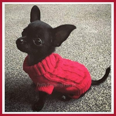Chihuahua Dog Coat