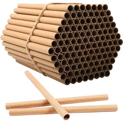 Children's DIY Insect Hotel Kit