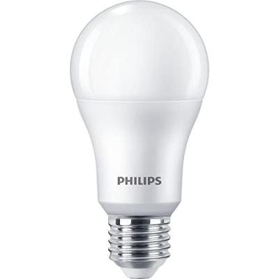 Philips LED Light Bulb 100W