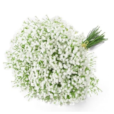 Uhky 6 Pcs Artificial Baby Breath Gypsophila…