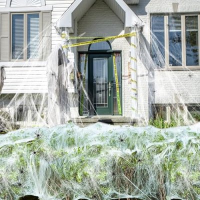 Nhowin Halloween Spider Web Decor