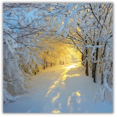 GBCC Christmas Cards