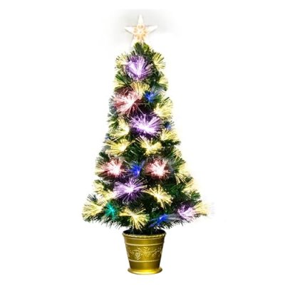 Christmas Tree World Vesuvius Fir