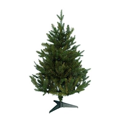 Christmas Tree World Woodland Pine