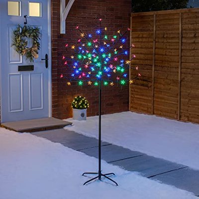 Christow Cherry Blossom Tree