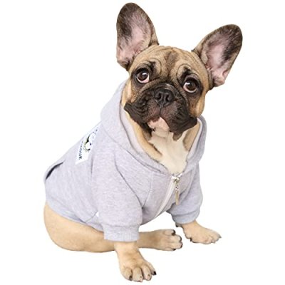 iChoue Dog Hoodie