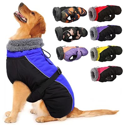 IECOii Dog Jacket