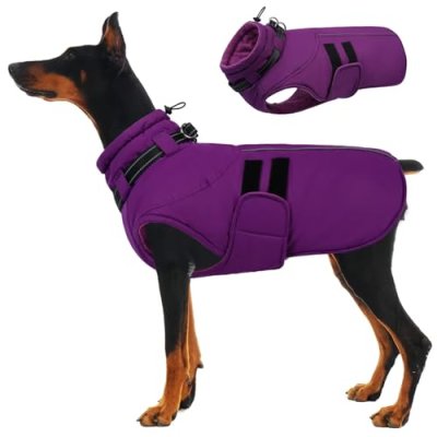 IECOii Dog Winter Coat