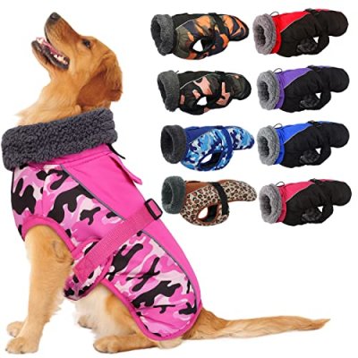 IECOii Dog Coat