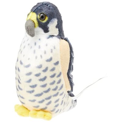 Wild Republic Peregrine Falcon