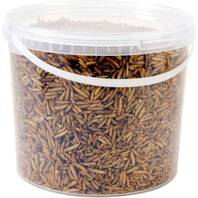 Wild Bird Food 5L Tub