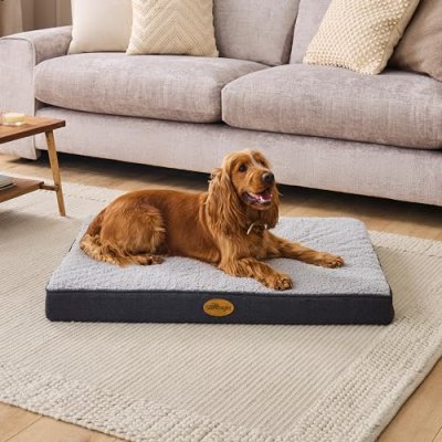 Silentnight Dog Bed