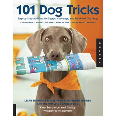 Silly Dog Tricks