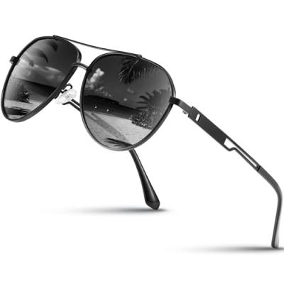 Pilot Polarized Sunglasses
