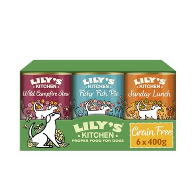Lily's Kitchen Wet Dog Food
